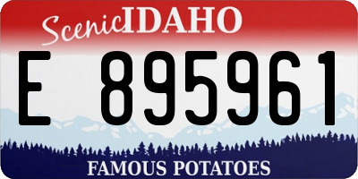 ID license plate E895961