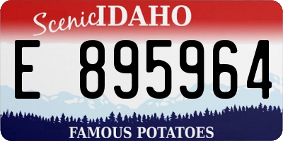 ID license plate E895964