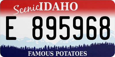 ID license plate E895968