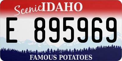 ID license plate E895969