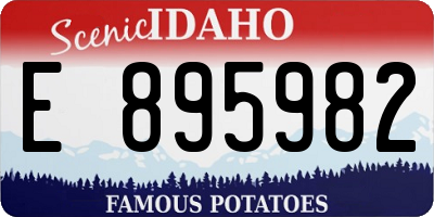 ID license plate E895982