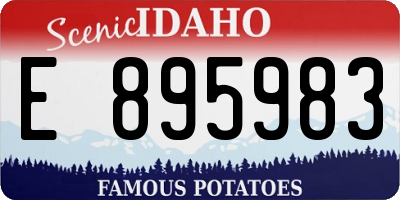 ID license plate E895983