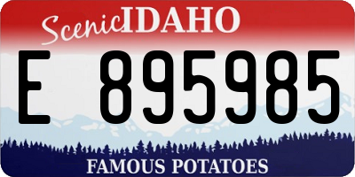ID license plate E895985