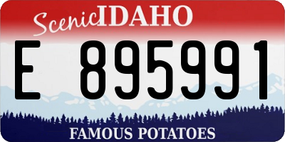 ID license plate E895991