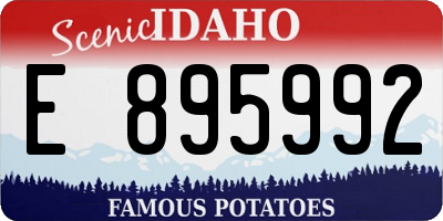 ID license plate E895992