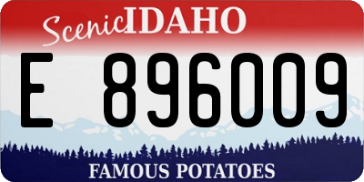 ID license plate E896009