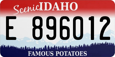 ID license plate E896012