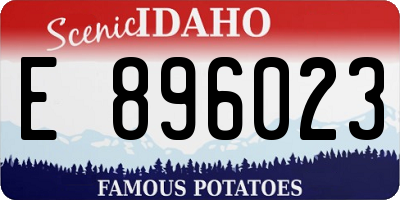 ID license plate E896023