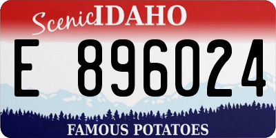 ID license plate E896024