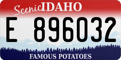 ID license plate E896032