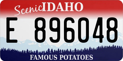 ID license plate E896048