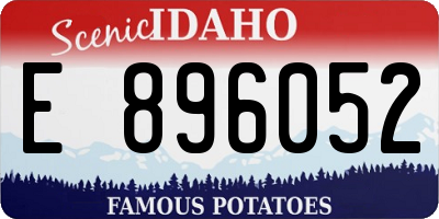 ID license plate E896052