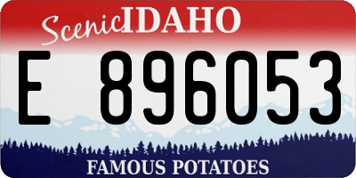 ID license plate E896053