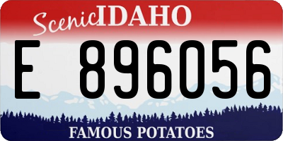 ID license plate E896056