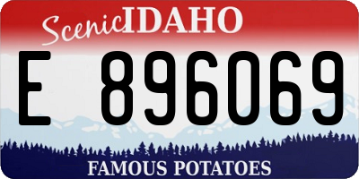 ID license plate E896069