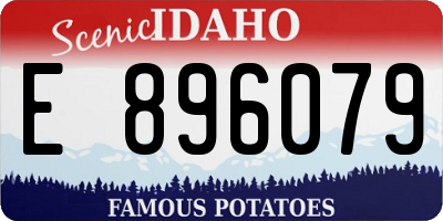ID license plate E896079