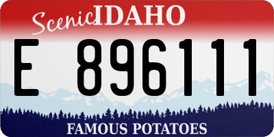 ID license plate E896111