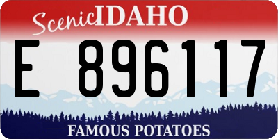ID license plate E896117