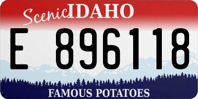ID license plate E896118