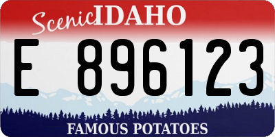 ID license plate E896123