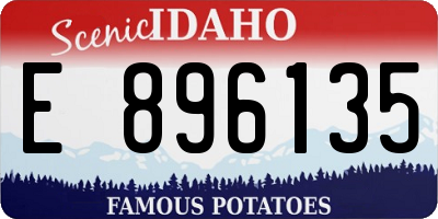ID license plate E896135