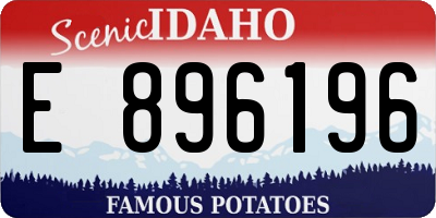 ID license plate E896196