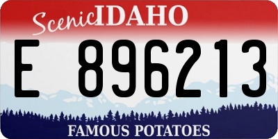 ID license plate E896213