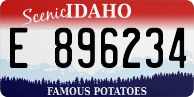 ID license plate E896234