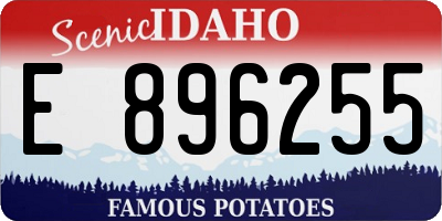ID license plate E896255
