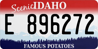 ID license plate E896272
