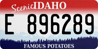 ID license plate E896289