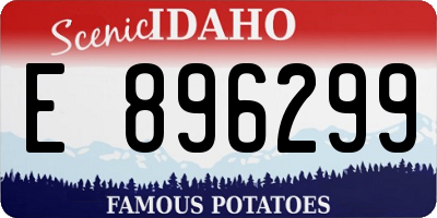 ID license plate E896299