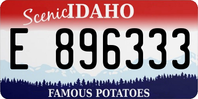 ID license plate E896333