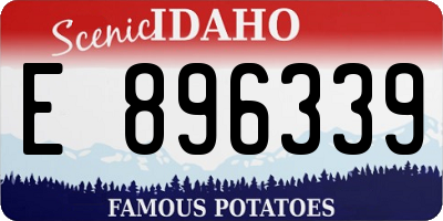 ID license plate E896339