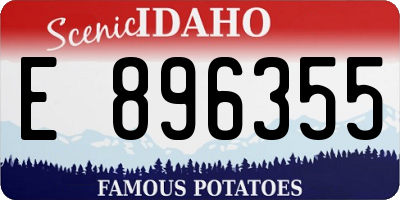ID license plate E896355