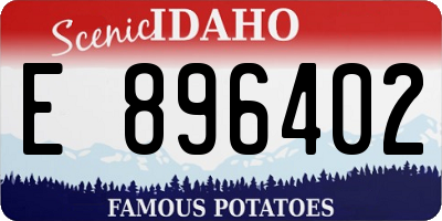 ID license plate E896402