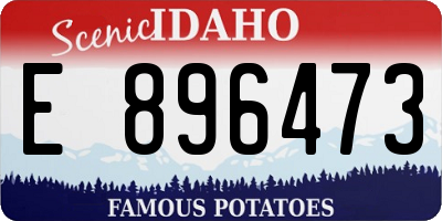 ID license plate E896473