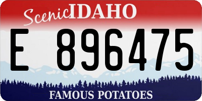 ID license plate E896475