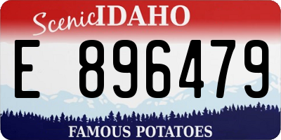 ID license plate E896479