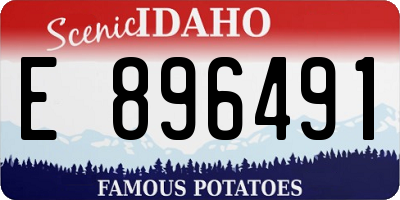 ID license plate E896491