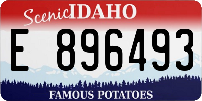 ID license plate E896493