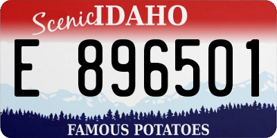 ID license plate E896501