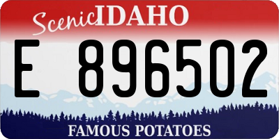 ID license plate E896502