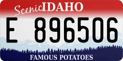 ID license plate E896506