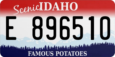 ID license plate E896510
