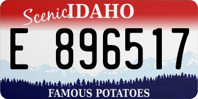 ID license plate E896517