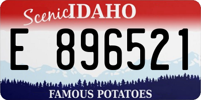 ID license plate E896521