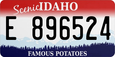 ID license plate E896524