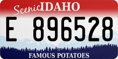ID license plate E896528