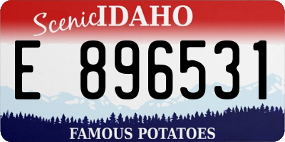 ID license plate E896531